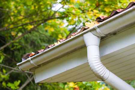 Going Beyond The Roof: The Importance Of Gutter Cleaning