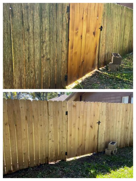 Fence Cleaning Thumbnail