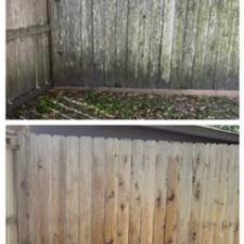 Fence cleaning