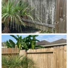 Fence cleaning