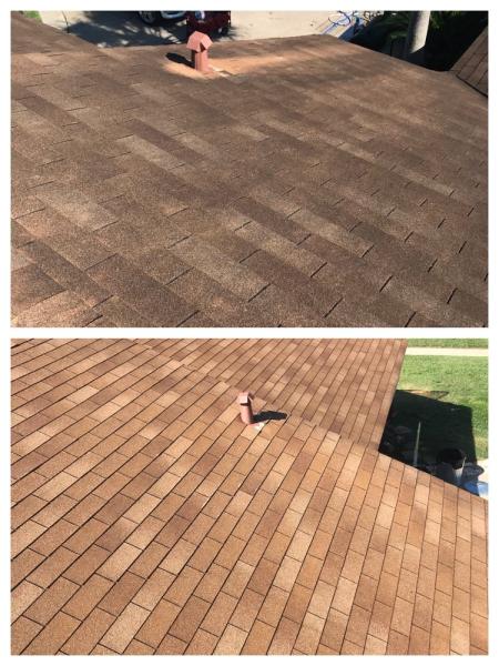 Roof Cleaning