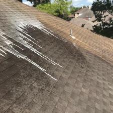 Soft wash roof cleaning